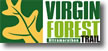 logo-vft.jpg