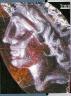 greek-makedon-king-alexandros.jpg