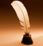 feather-pen-forkeratea.jpg