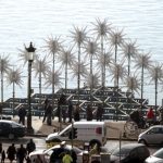 ploto-xrdentro-thessaloniki.jpg