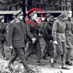 MERKEL- BILD.DE