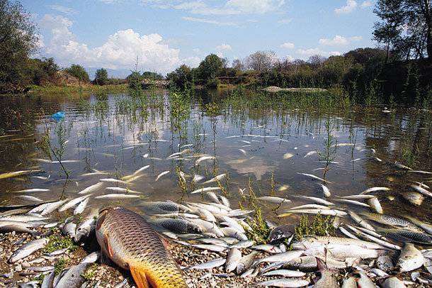 Μόνο όταν θα έχετε δηλητηριάσει και το τελευταίο ποτάμι τον Αλιάκμονα Εθελοντική Περιβαλλοντολογική Οργάνωση “Αλιάκμον Greece