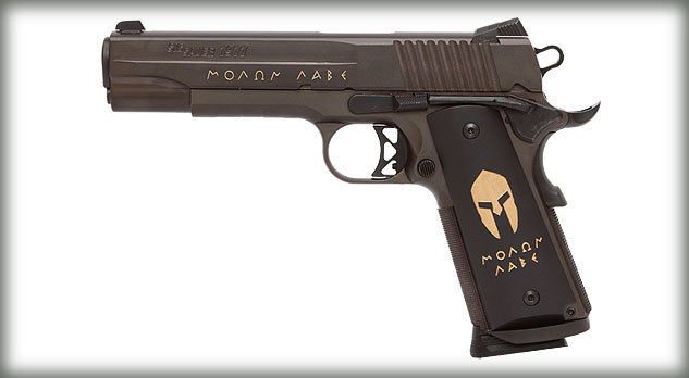 molon lave gun