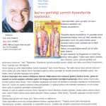 gia timio stayro sthn agia sofia