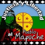 mapuche