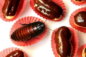 Chocolate Allergy