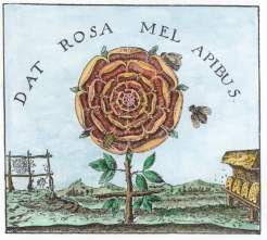 RODOSTAYROI