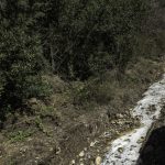 MOLYNSI STRATONI XALKIDIKI