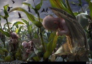 monsantocancer-
