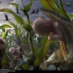 monsantocancer-