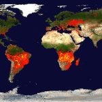 GLOBAL MAMPS