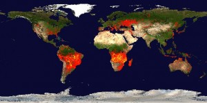 GLOBAL MAMPS