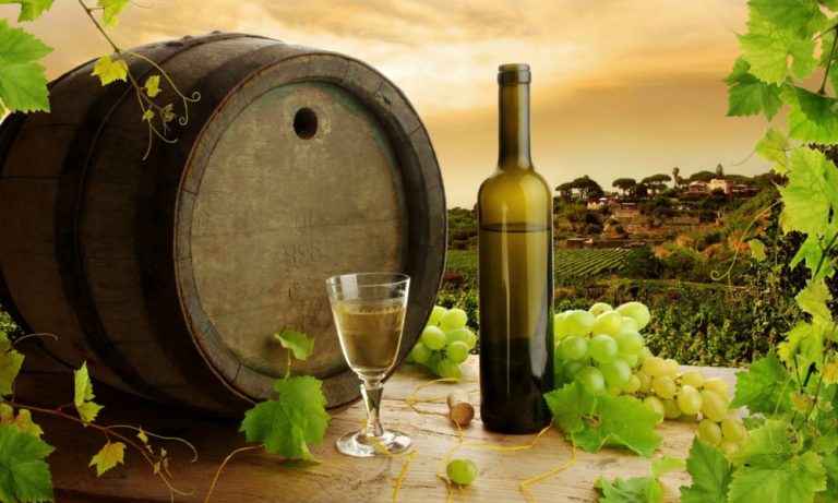 Οι προοπτικές ενίσχυσης των εξαγωγών τέθηκαν επί τάπητος στην Ετήσια Τακτική Γενική Συνέλευση του Συνδέσμου Ελληνικού Οίνου