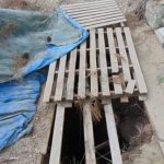 kodra-arxaiokalileia