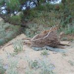 kodra-arxaiokapileia3