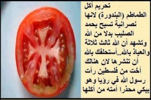 tomata2