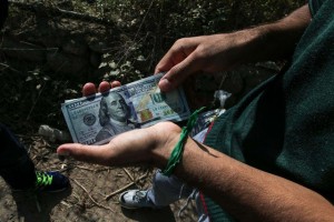 dolar-metanastes