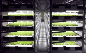 roboagrotes