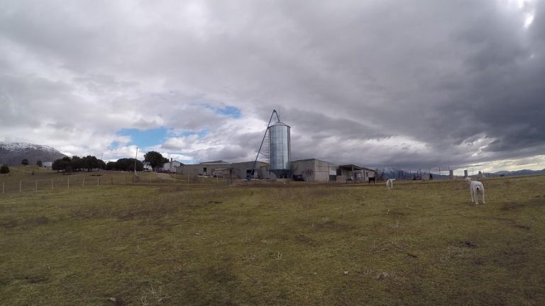 Αναζητώντας συνέργειες γύρω από το κοινοτικό δίκτυο Sarantaporo