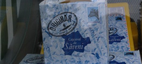 Κασκαβάλι Πίνδου» ή «Cascaval de Sãveni»; Και οι δύο ονομασίες αφορούν ένα παραδοσιακό κασέρι που παρήγαγαν οι Βλάχοι