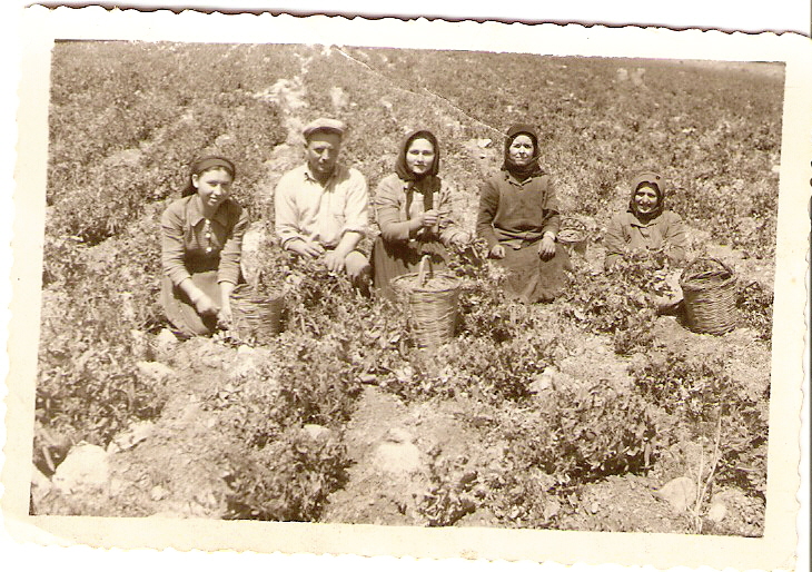 Λίγες ημέρες πριν από την πρώτη Σεπτεμβρίου, τα υπόγεια των σπιτιών είχαν αδειάσει από τα βαρέλια.