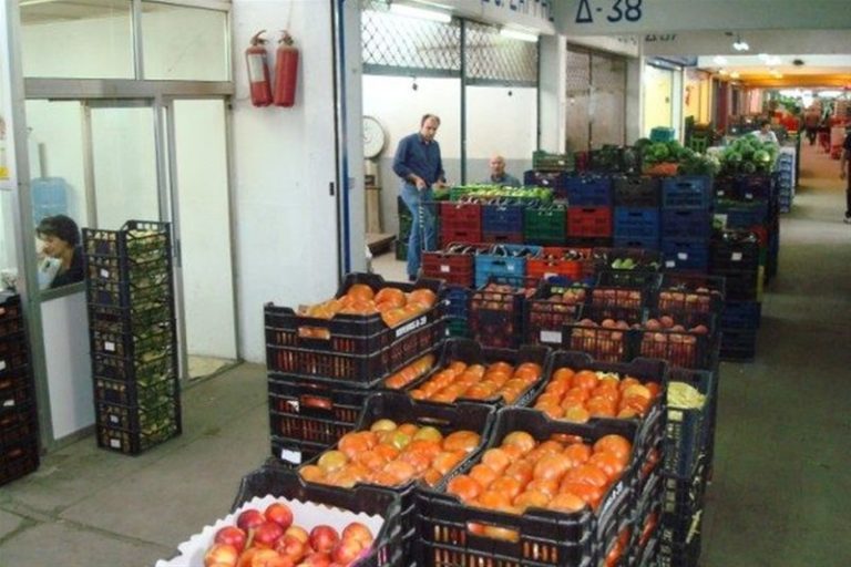 Πρέπει το υπουργείο ανάπτυξης να πάρει μετρά και ο κ Άδωνις Γεωργιάδης, Οι Βούλγαροι σηκώνουν όλα τα λεμονιά και πορτοκάλια από την λαχαναγορά Θεσσαλονίκης