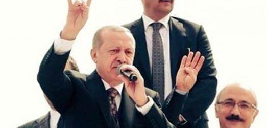 ΓΚΡΙΖΟΙ ΛΥΚΟΙ ΚΑΙ ΣΤΟ ΒΑΘΟΣ …ΑΓΙΑ ΣΟΦΙΑ