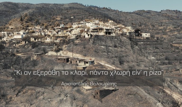 Μία εβδομάδα μετά την καταστροφή,Το Οδοιπορικό στην Αμανή:
